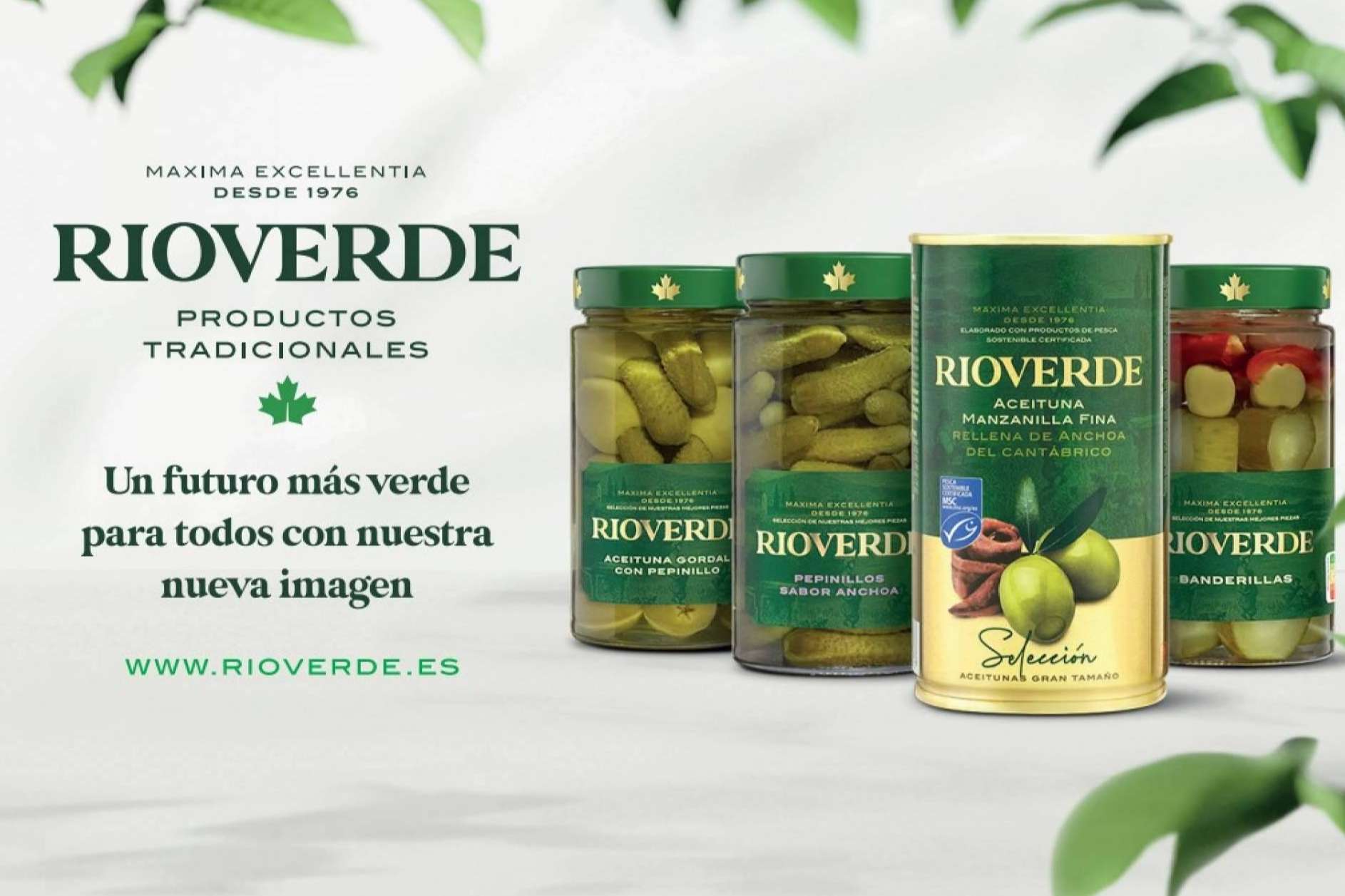 Rioverde explica los beneficios del consumo de aceitunas con anchoas, pepinillos y remolacha