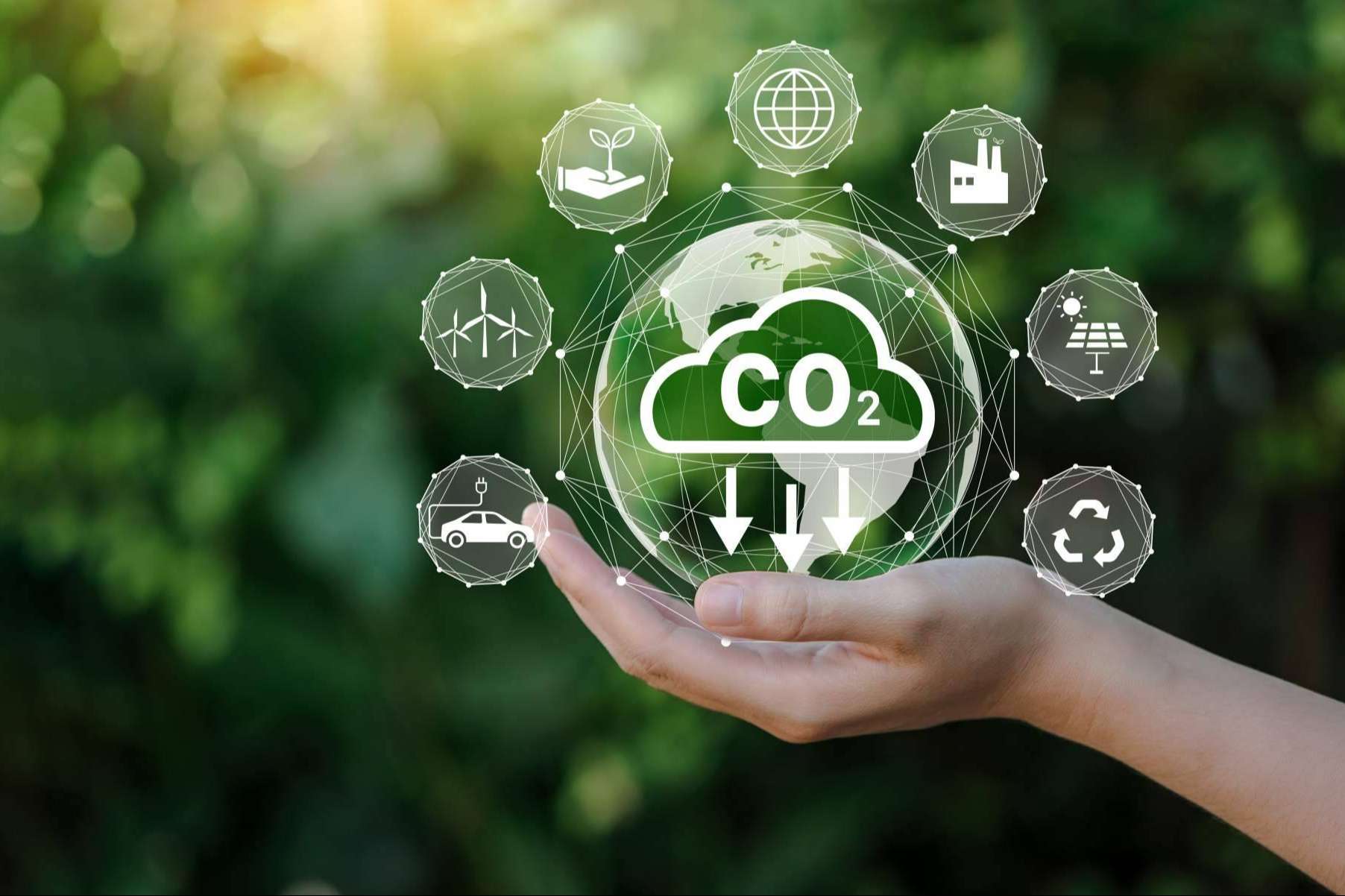 Las innovadoras soluciones de ClimateTrade para que las empresas puedan compensar la huella de carbono