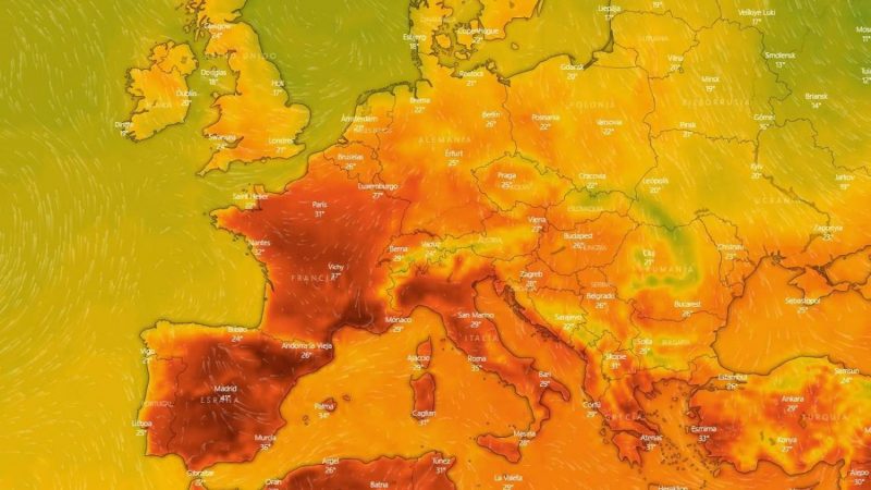 ola de calor Merca2.es