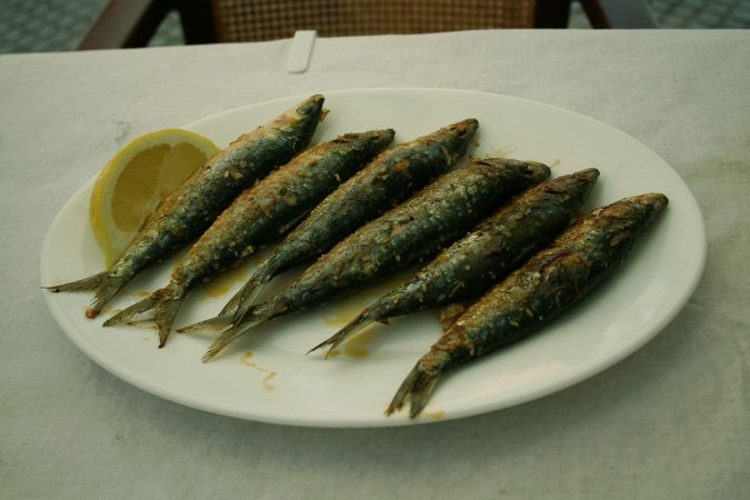 sardinas-holor