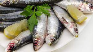 sardinas-olor-fuerte