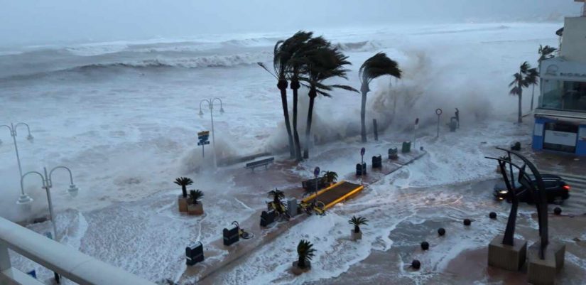 temporal Merca2.es