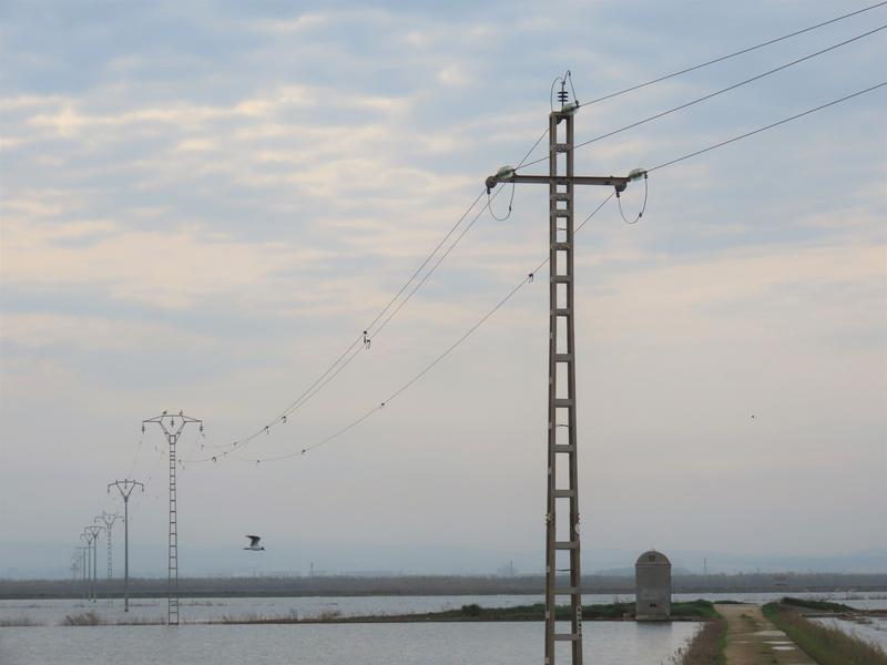El precio de la luz marca este sábado su precio más bajo desde la excepción ibérica