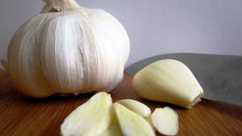 cocinillas 18008292 115945803 1024x576 Merca2.es