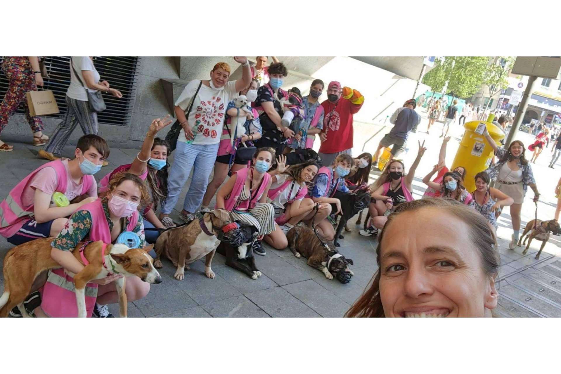 La guardería de día PERROBUENO y las vacaciones para perros en Madrid