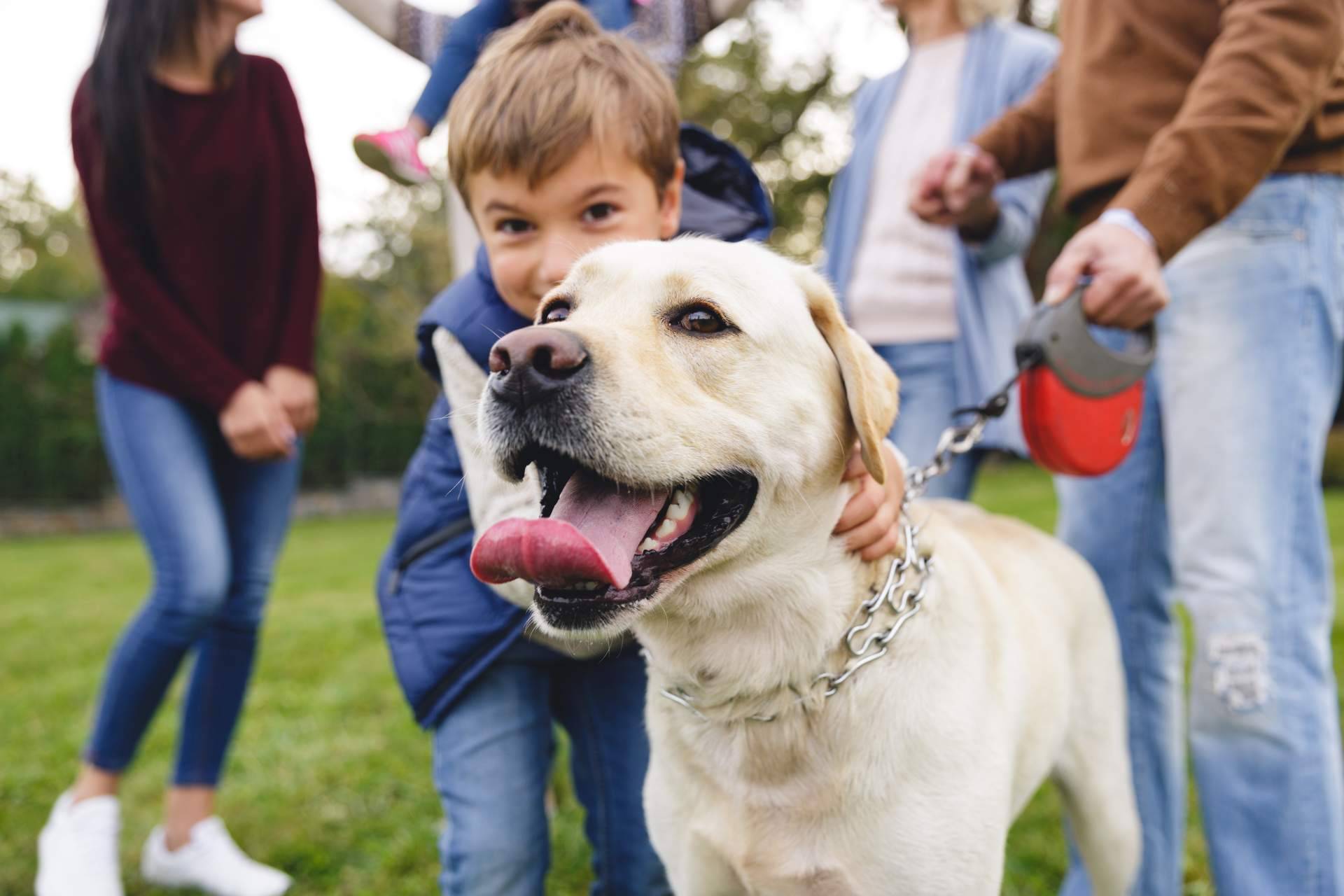 ¿Qué cubre el seguro veterinario de Barkibu?