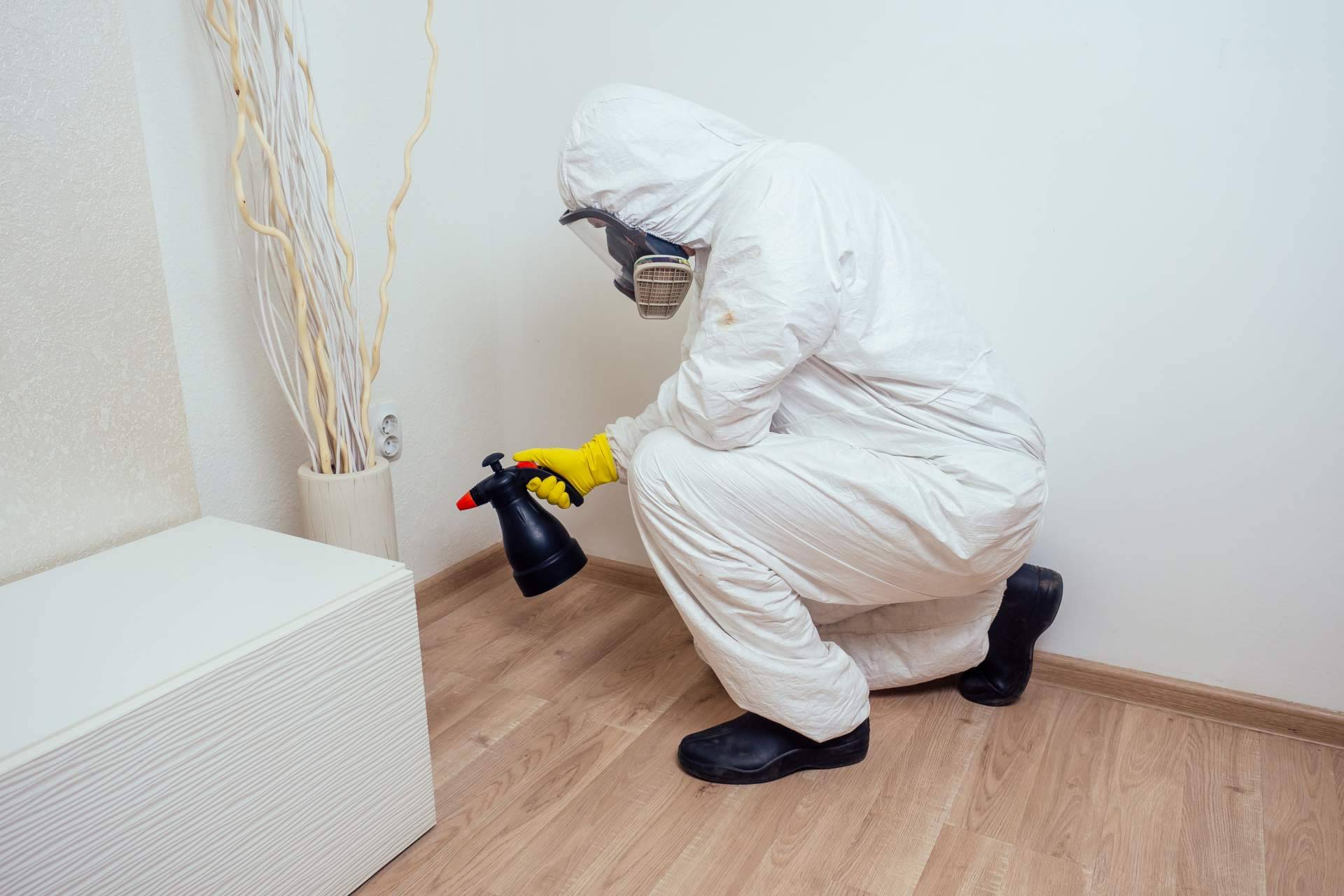 American Pest Control, una reconocida empresa de control de plagas en Madrid