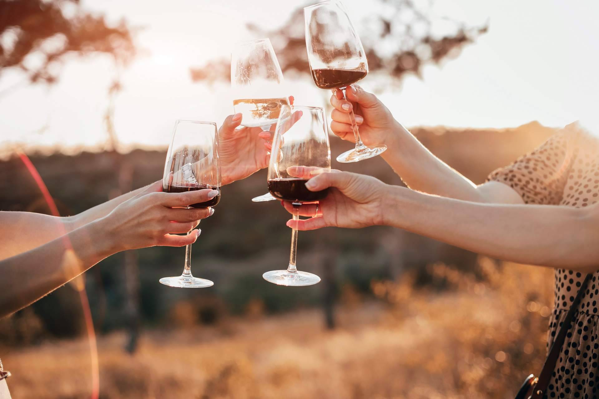 ¿Cuáles son los aspectos que influyen en el precio del vino tinto de Vinoenbox.com?