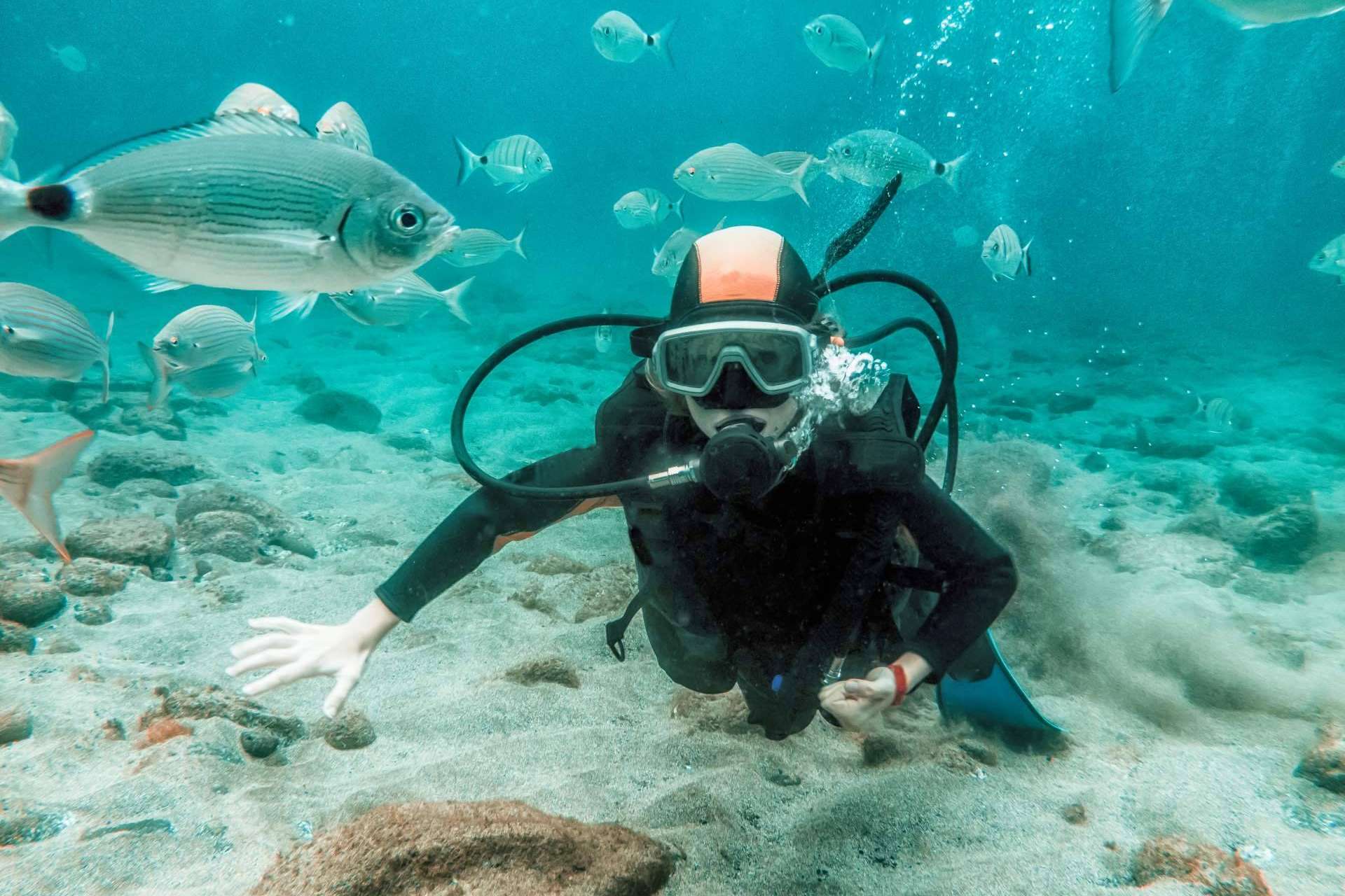 La tendencia del buceo en Koh Tao, de la mano de Nitro Koh Tao