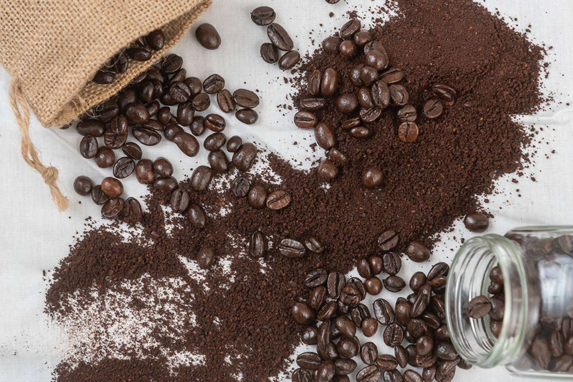 Los productos de calidad de Cafés Legend próximamente estarán disponibles en Amazon