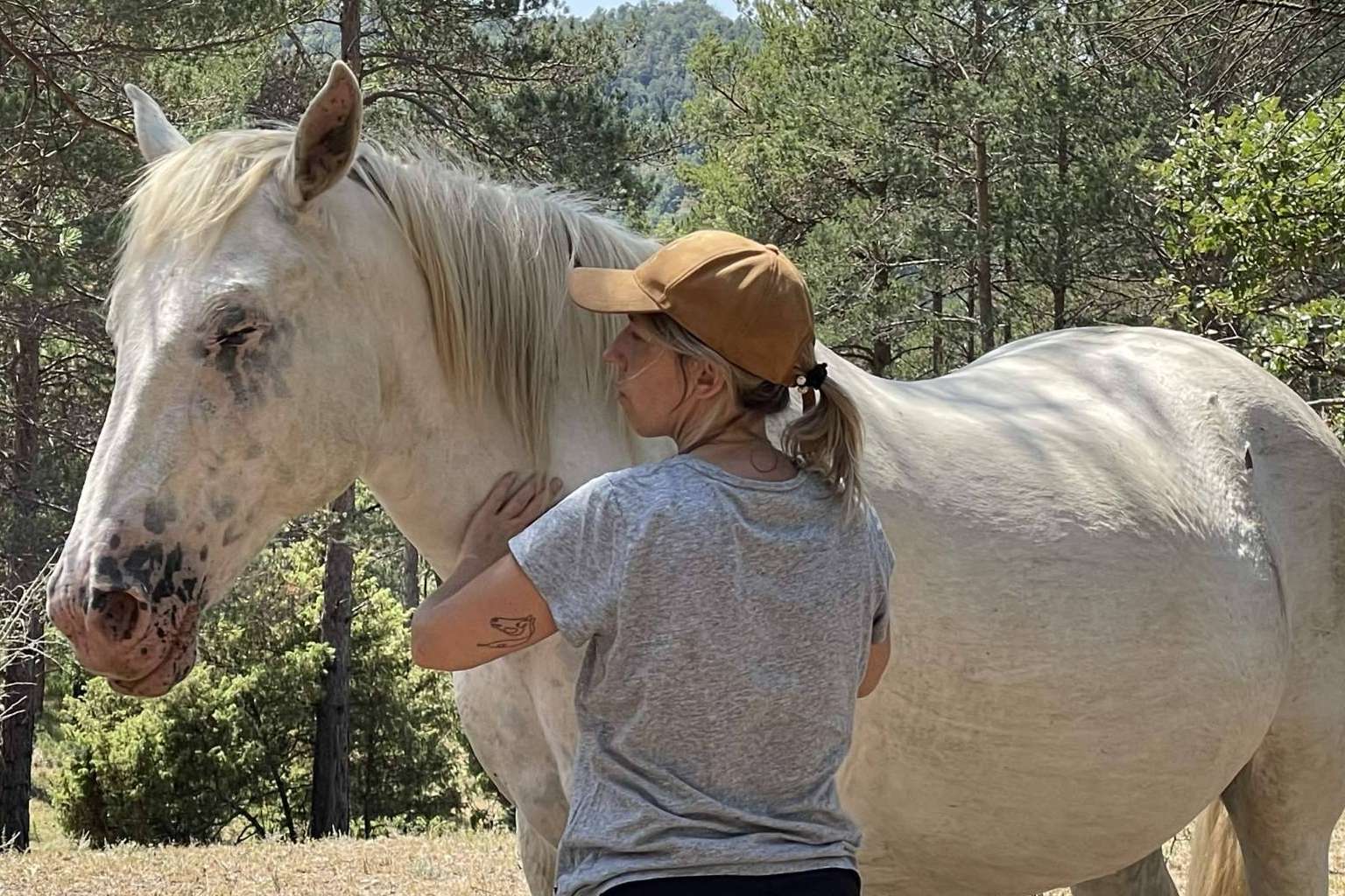 Los beneficios de los caballos libres para el desarrollo de la inteligencia emocional