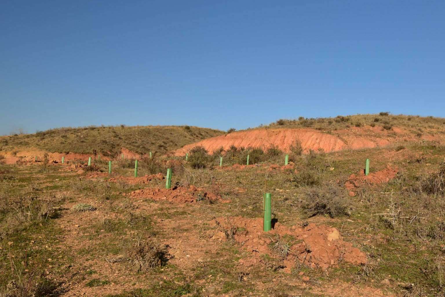 El referente nacional CO2 GESTIÓN colabora en la creación de bosques sostenibles