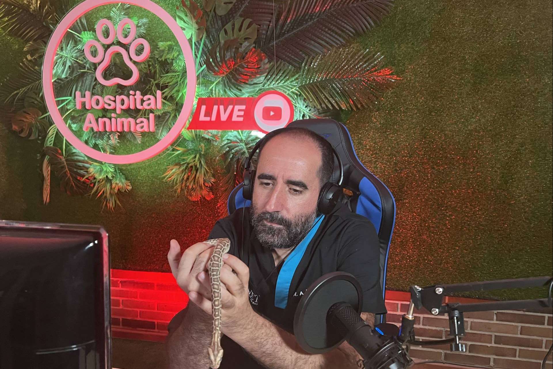 La serie Hospital Animal se puede ver todas las semanas por TeleMadrid