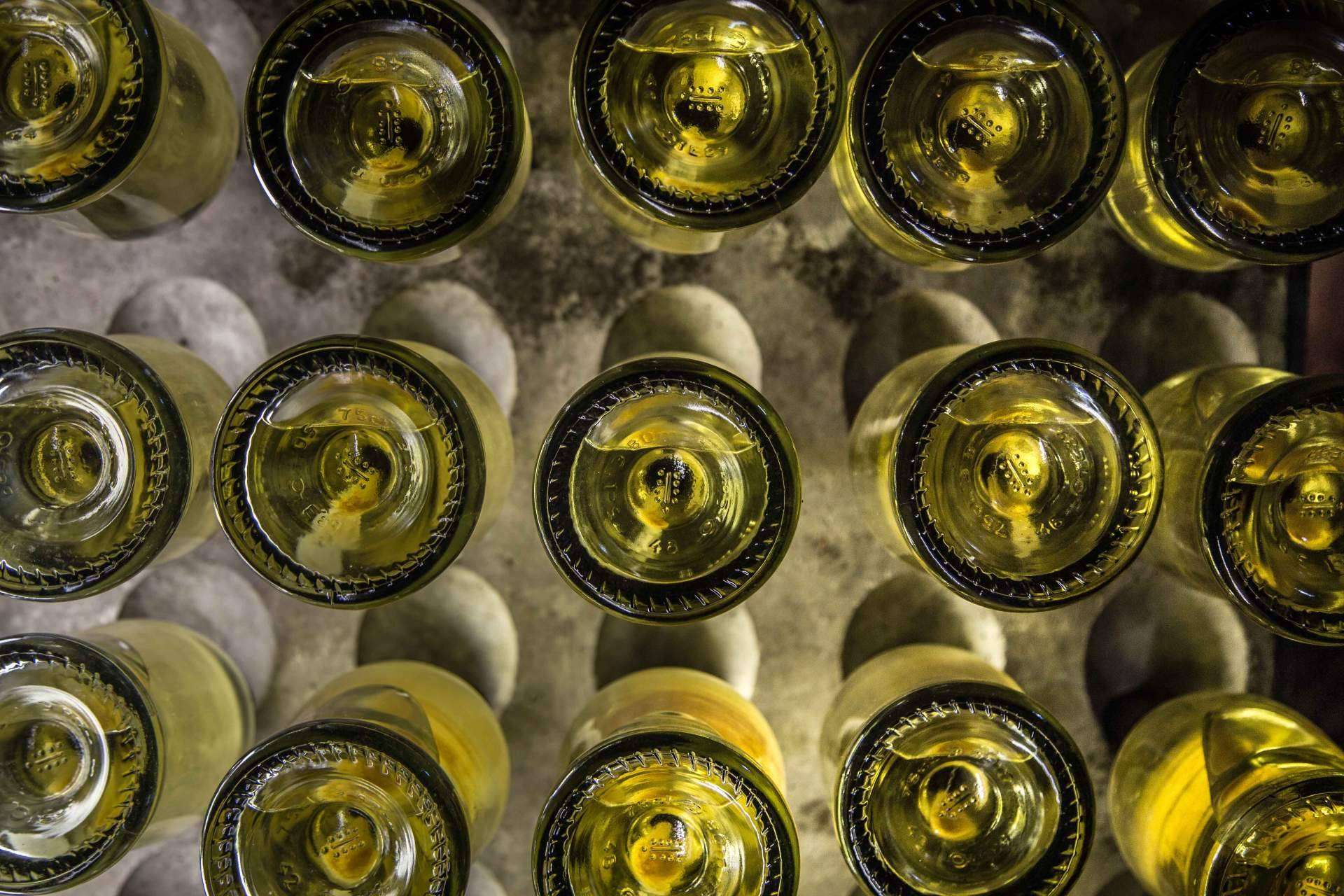 Obsequiar enoturismo con las catas de vinos de Natureloverswines