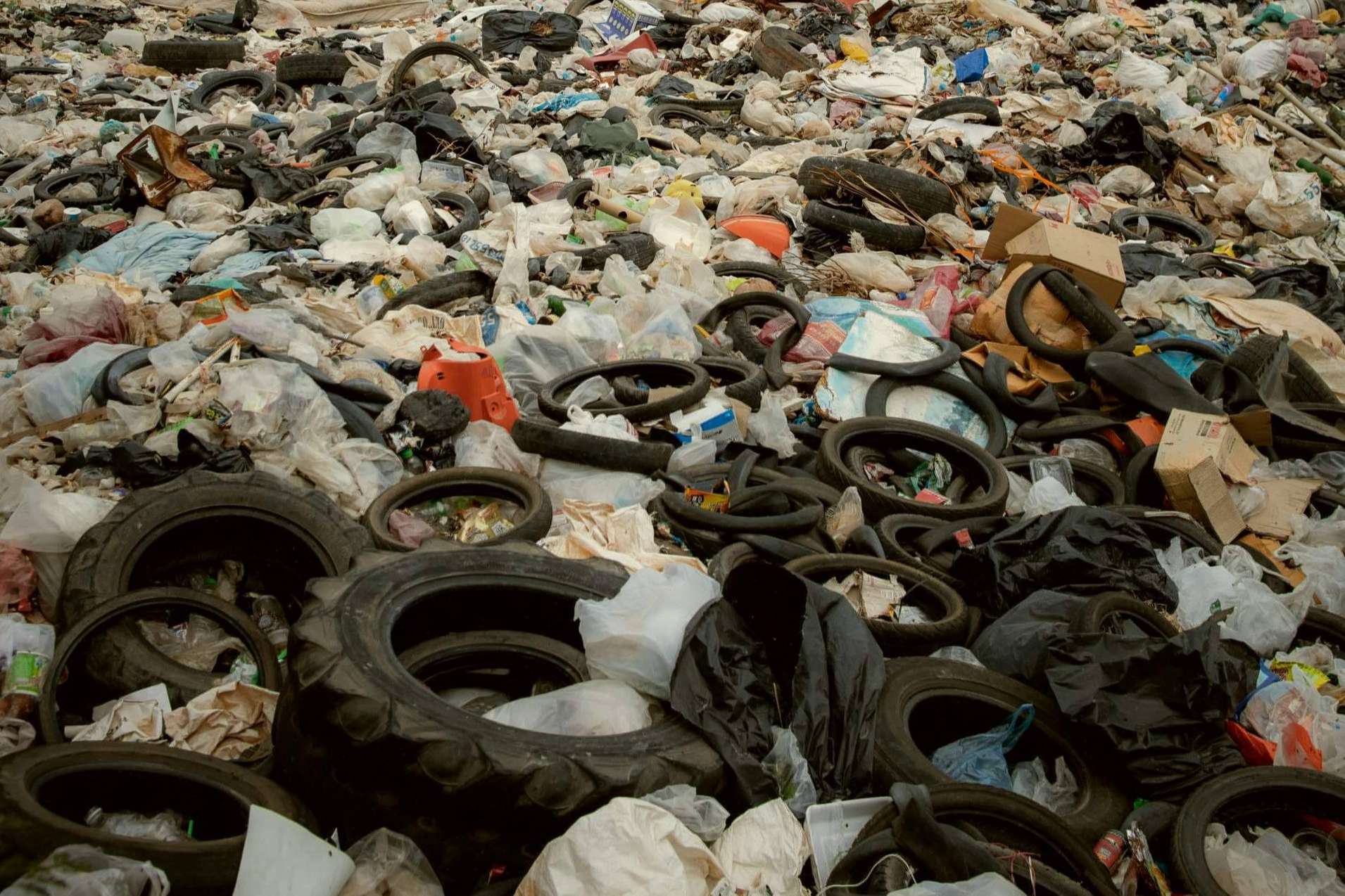 La importancia de la economía circular en la actualidad, la propuesta de recircular