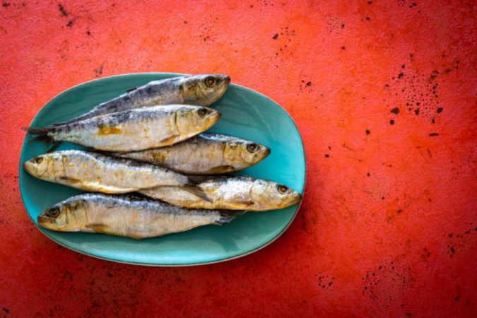 Cómo elegir los mejores boquerones