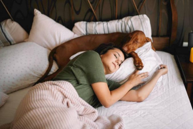 Es antihigiénico dormir con tu mascota