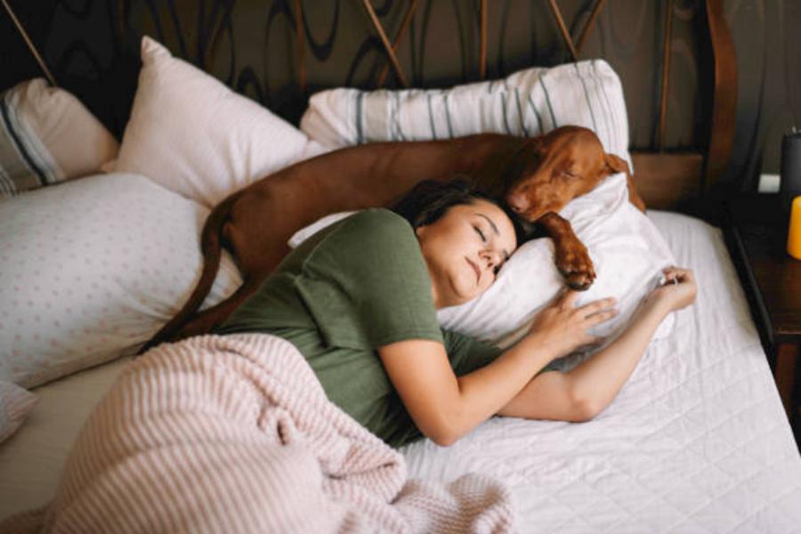 Es antihigiénico dormir con tu mascota