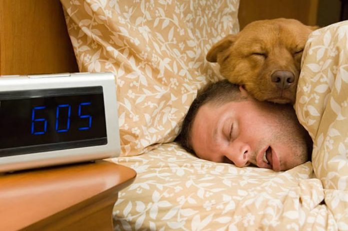 Estos son los peligros que puedes sufrir si duermes con tu mascota