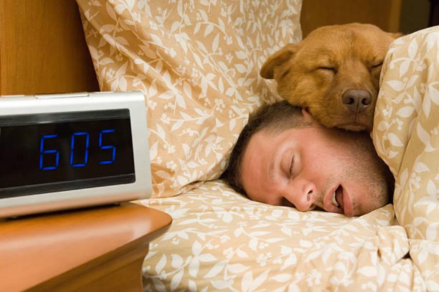Los peligros que puedes sufrir si duermes con tu mascota