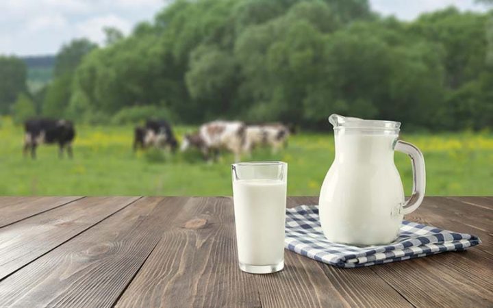 la leche entera amiga o enemiga de la dieta Merca2.es