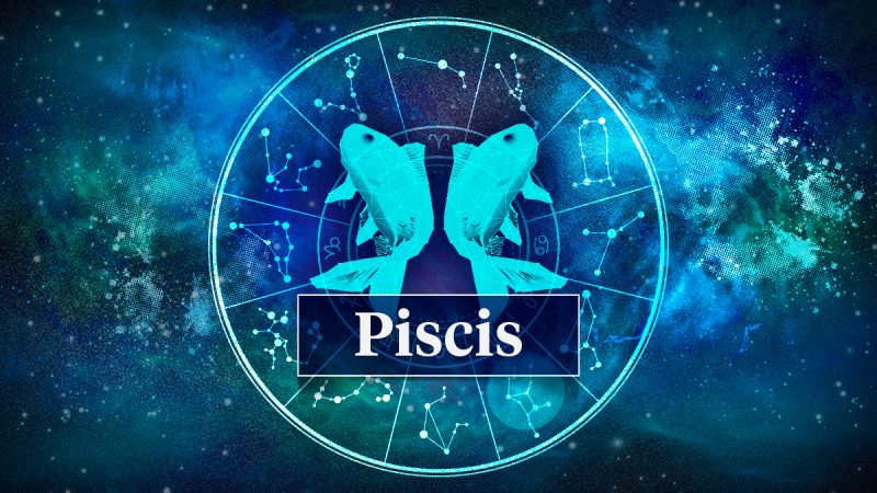 piscis Merca2.es