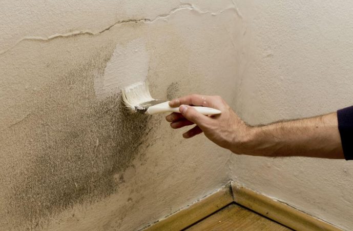 quitar humedad en la pared Merca2.es