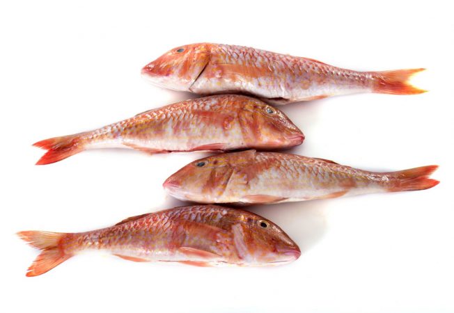 salmonete Merca2.es