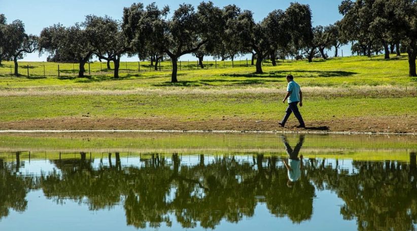 El 80% de los cultivos agrícolas que abastecen a Unilever es 100% sostenible