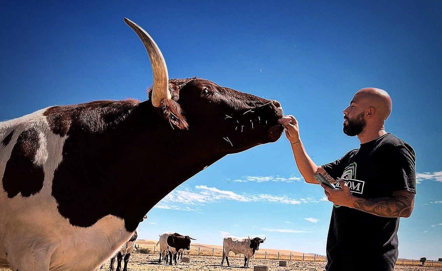 Alberto Salto, el emprendedor que ha conseguido convertirse en el “As de las carnes”