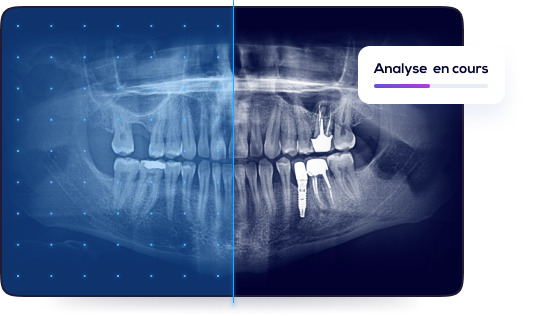 Xray analyses Merca2.es