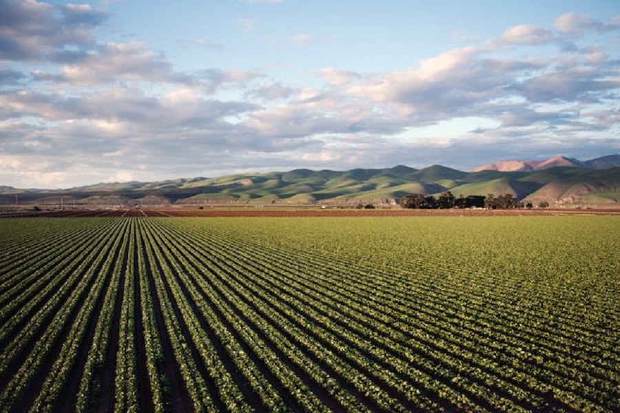 agricultura