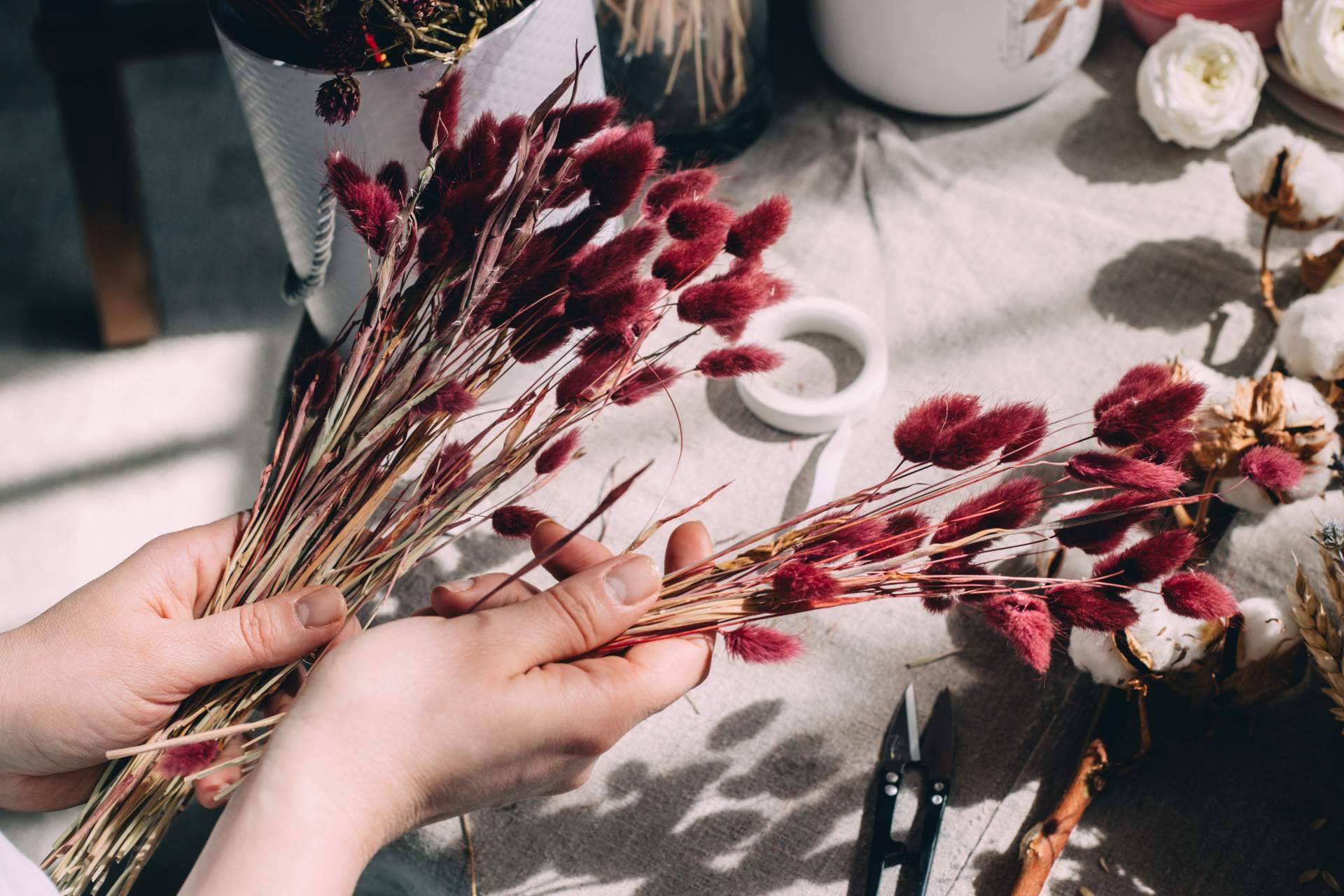 La tienda online de flores secas y preservadas a tallo de Floueri