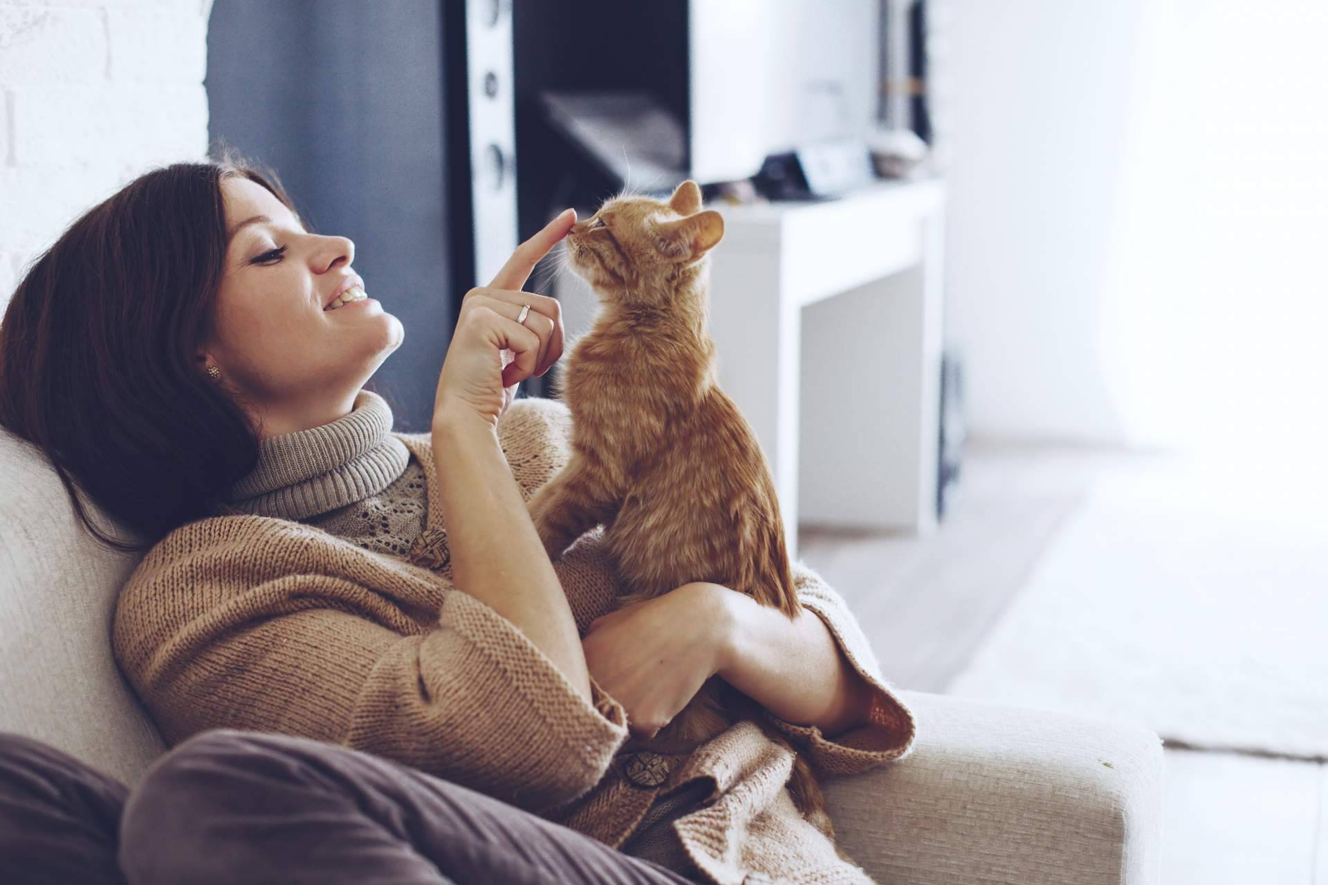 Gatos: cómo comprender el comportamiento para tener una mejor convivencia con ellos