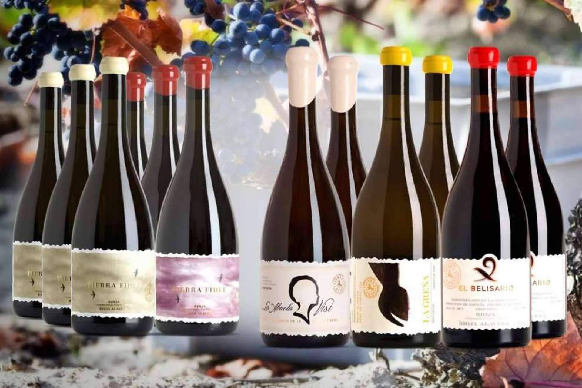 ILOVEWINE, vinos Premium de diferentes bodegas