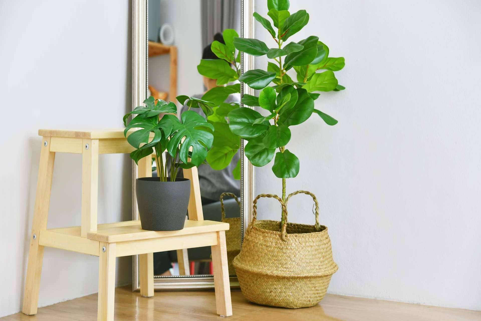 Cómo combinar plantas artificiales para dar un toque especial a cualquier espacio