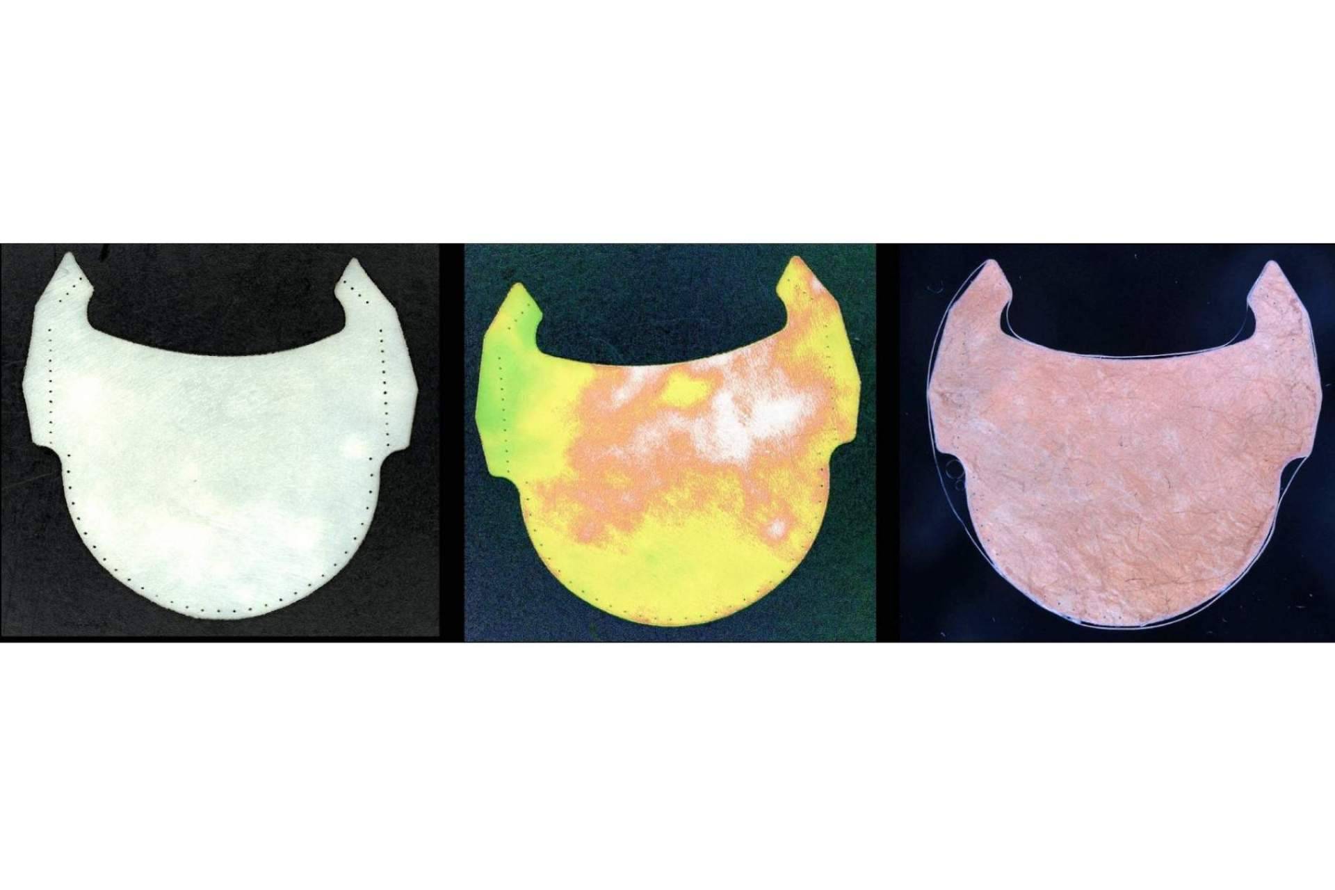 ¿Por qué las válvulas coronarias fabricadas con tejido de corazón animal serán mucho más eficaces y duraderas?