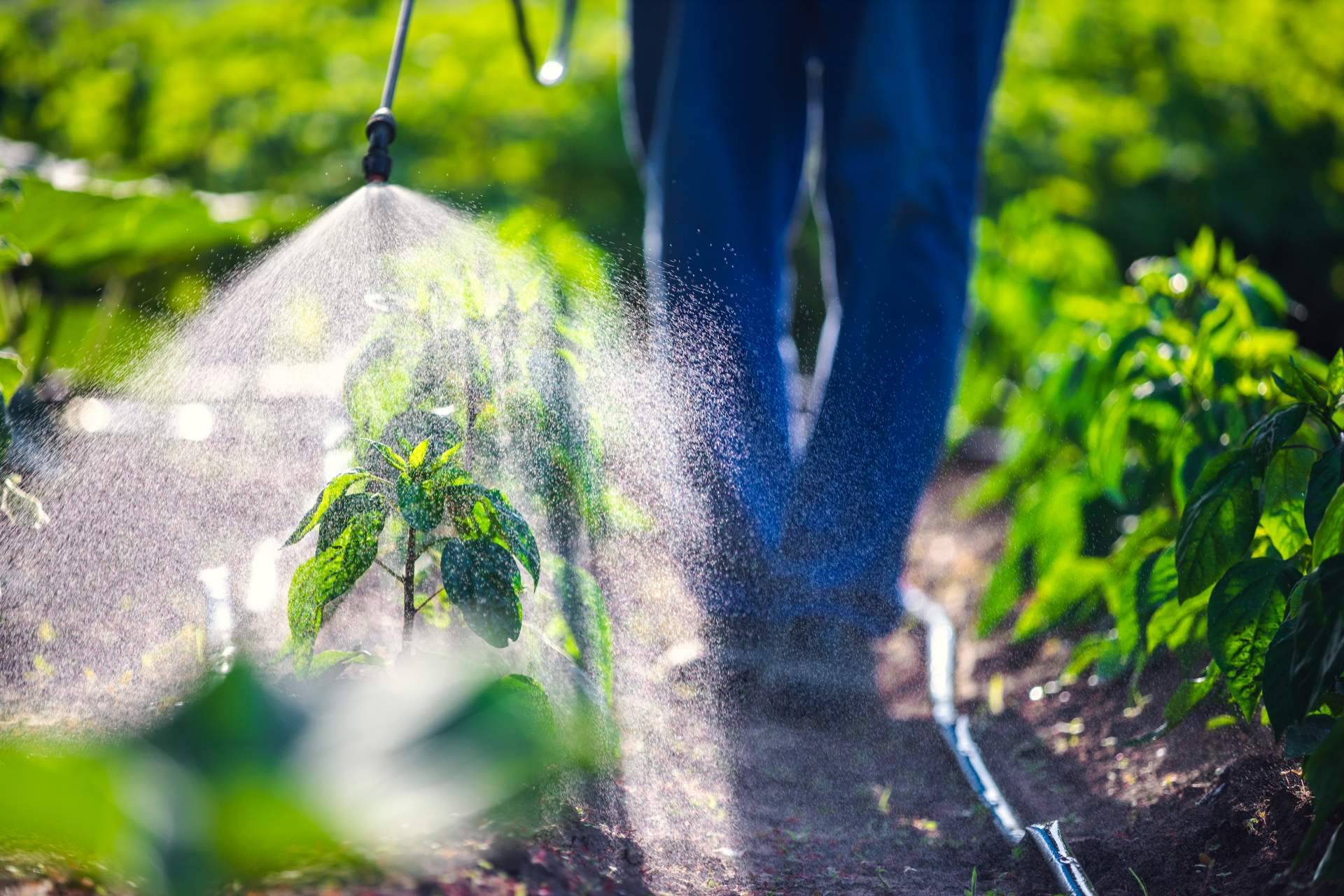 Suministros ecológicos y asesoramiento agrícola para cuidar y potenciar los cultivos, SAECO