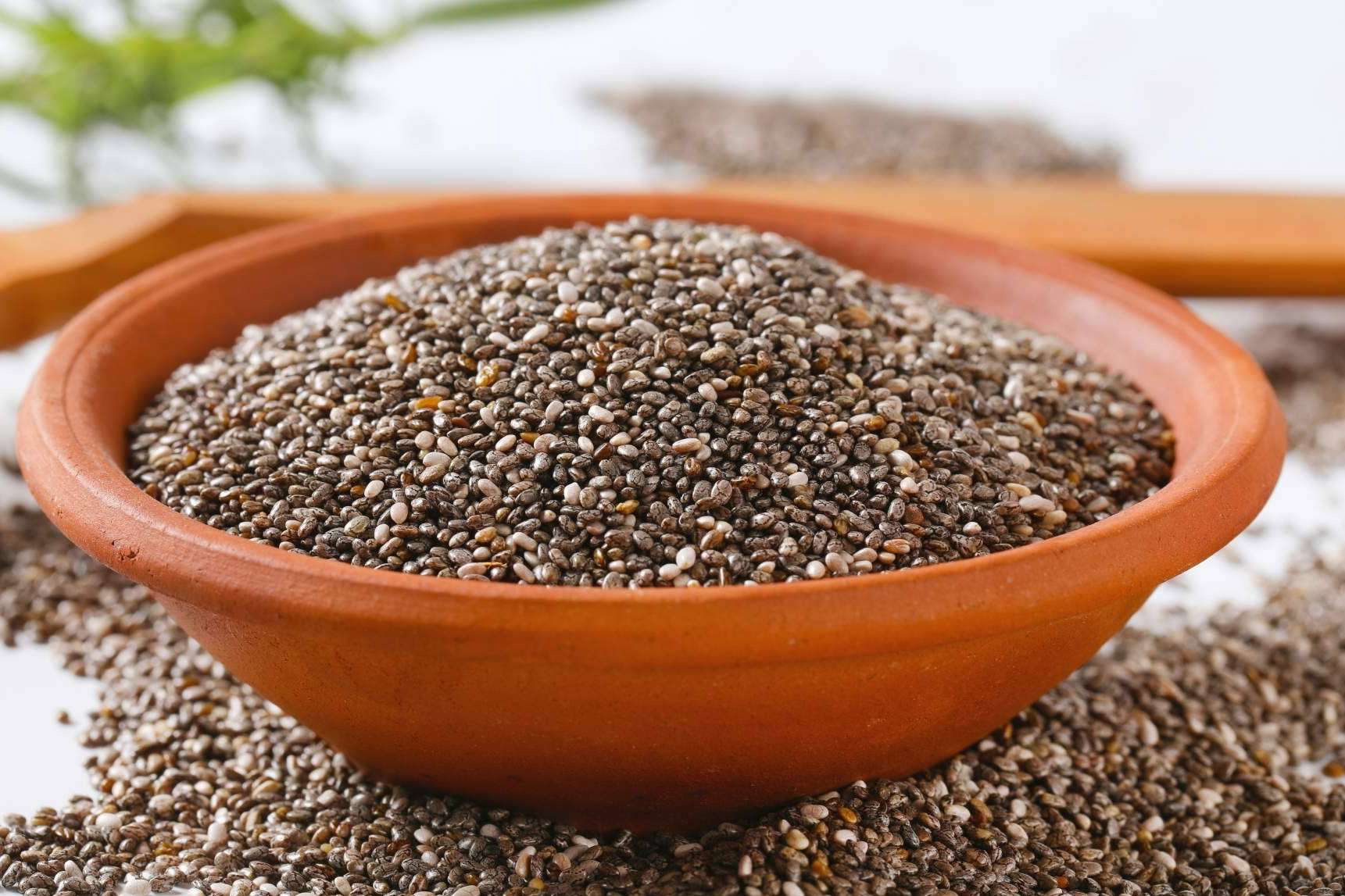 Chía de venta online en Fayle Seeds