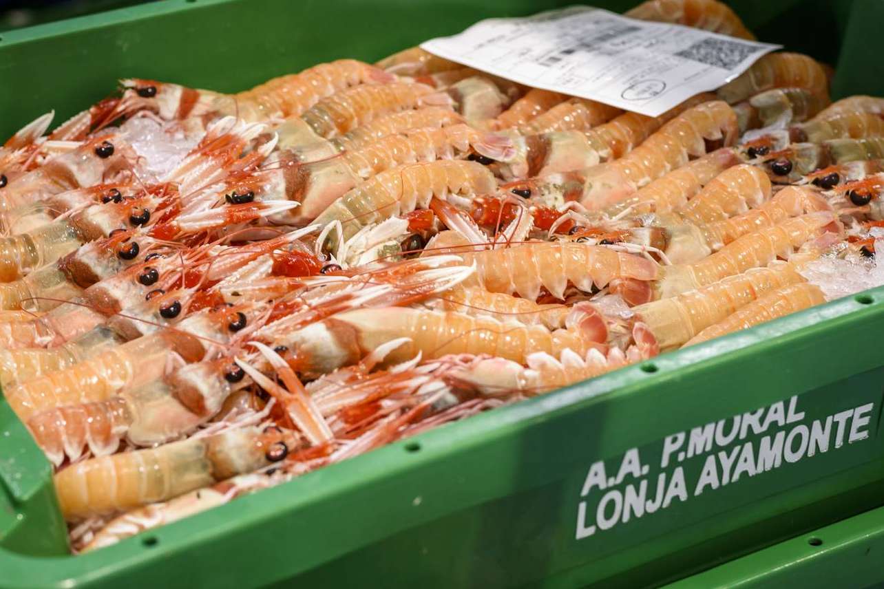 Comprar marisco para Navidad, las múltiples ventajas de comprarlo antes de las fechas claves