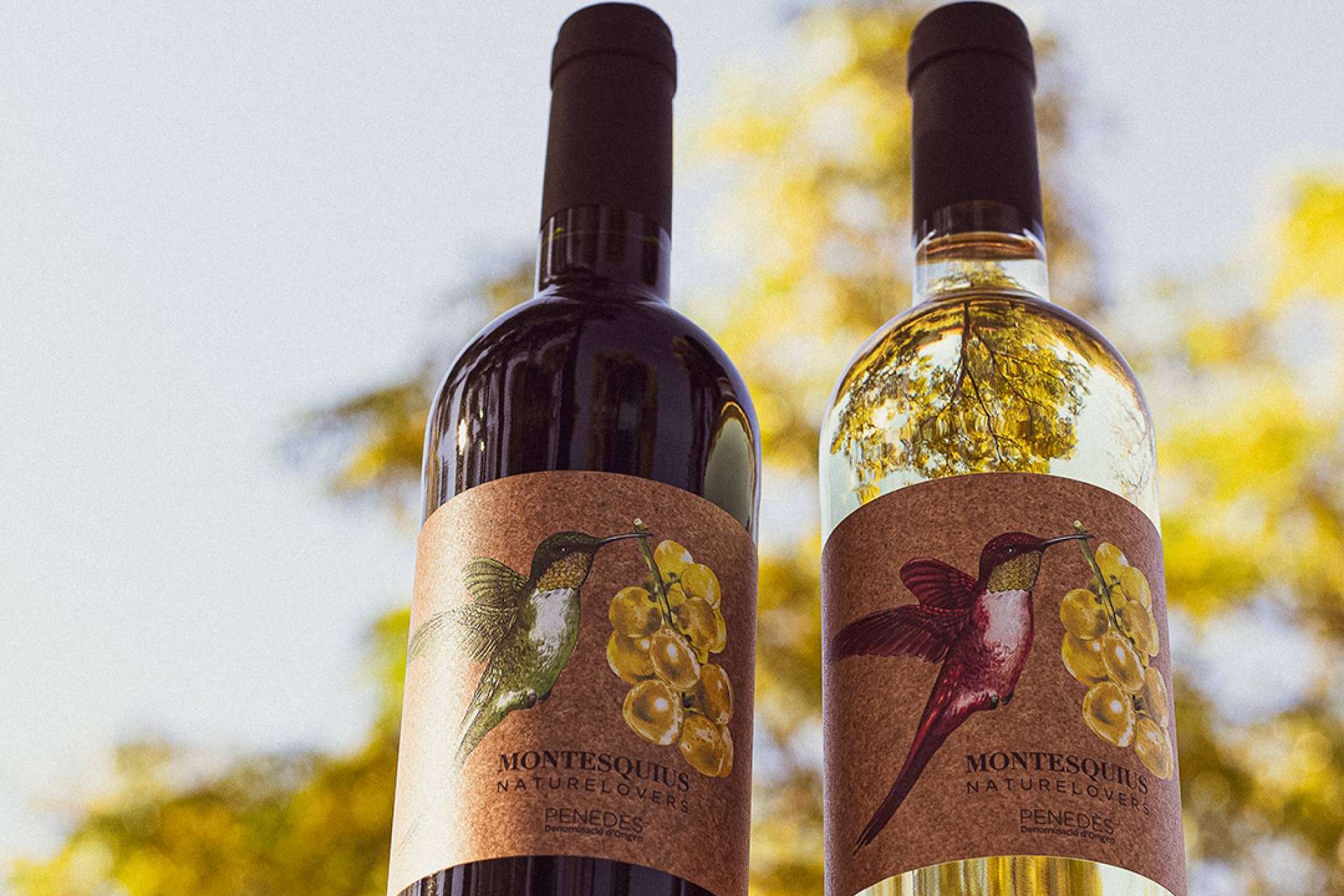 Naturelovers Wines y su amplia oferta de vinos