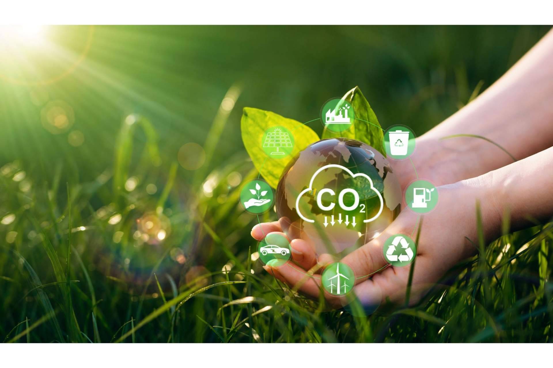 Reducir la huella de carbono a través de proyectos sostenibles, con ClimateTrade
