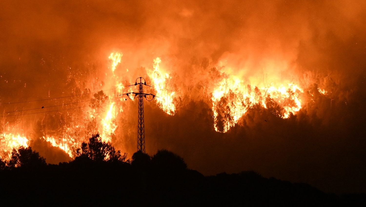 lantania-luchara-invierno-incendios-proximo-verano