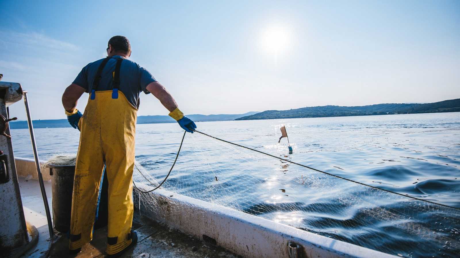 Perte de la pesca