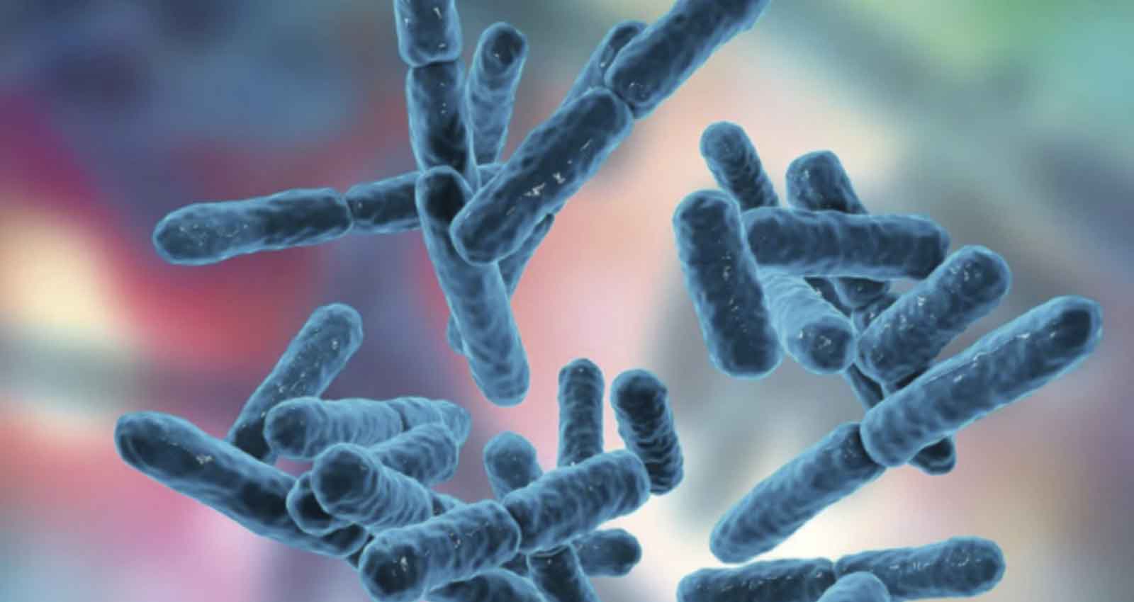 Revelan la puerta evolutiva que fortalece la resistencia antibiótica en bacterias de neumonía