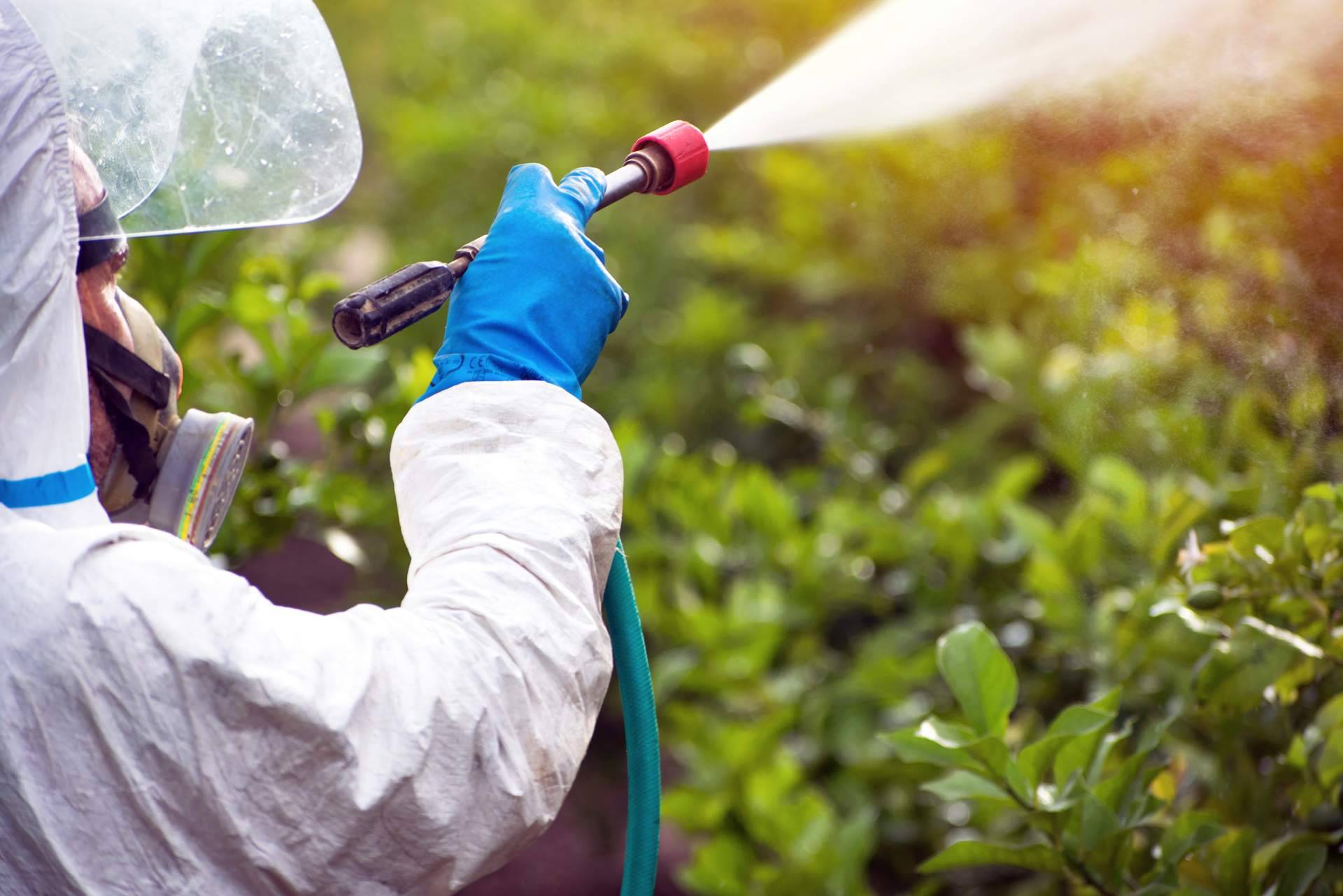 Entre los gestores de Royal Euroservice Consulting S.L., Bioplanet Ibérica se especializa en el control de plagas