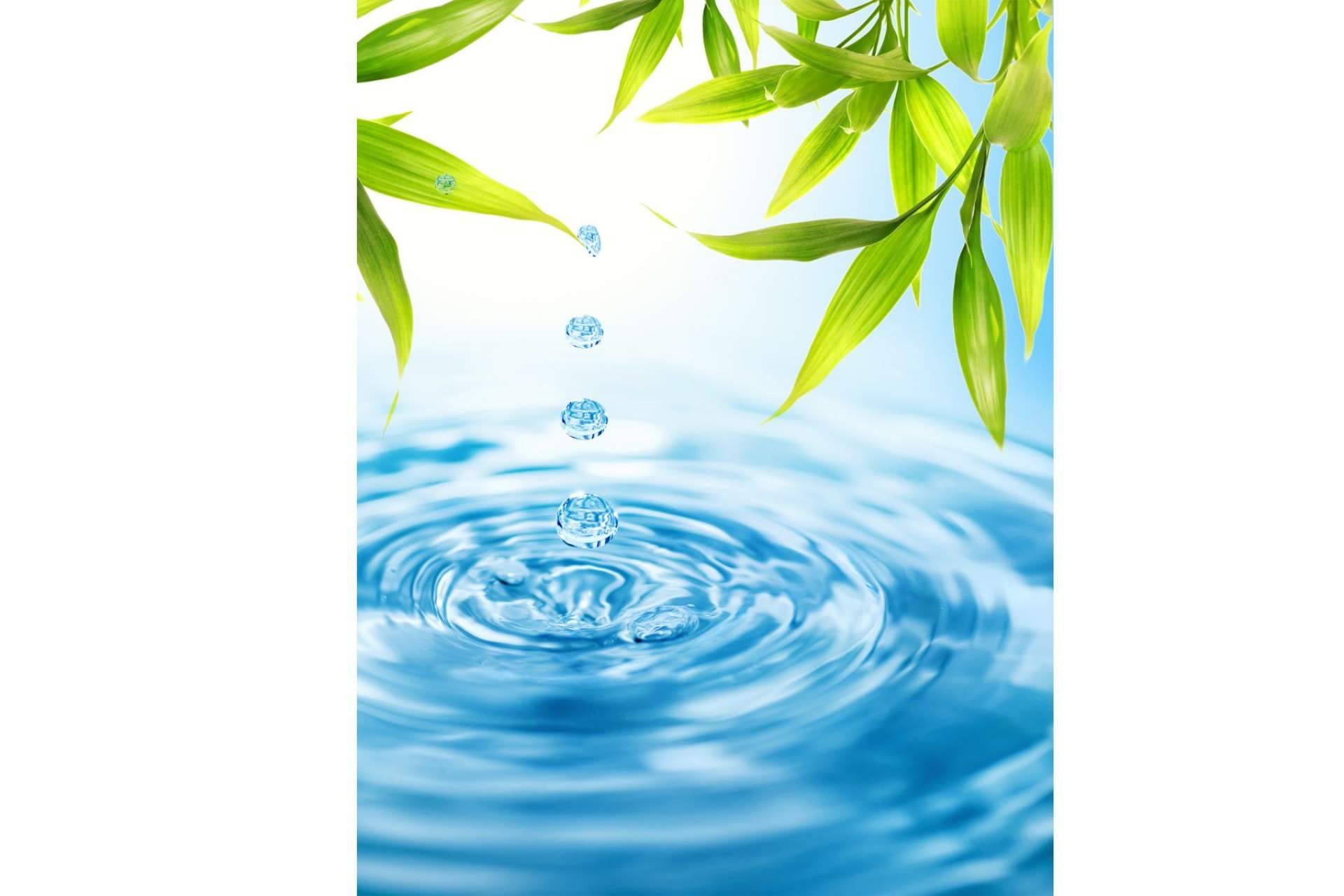 Las botellas de las fuentes de Blue Planet ayudan a cuidar el medioambiente y contribuyen al reciclaje