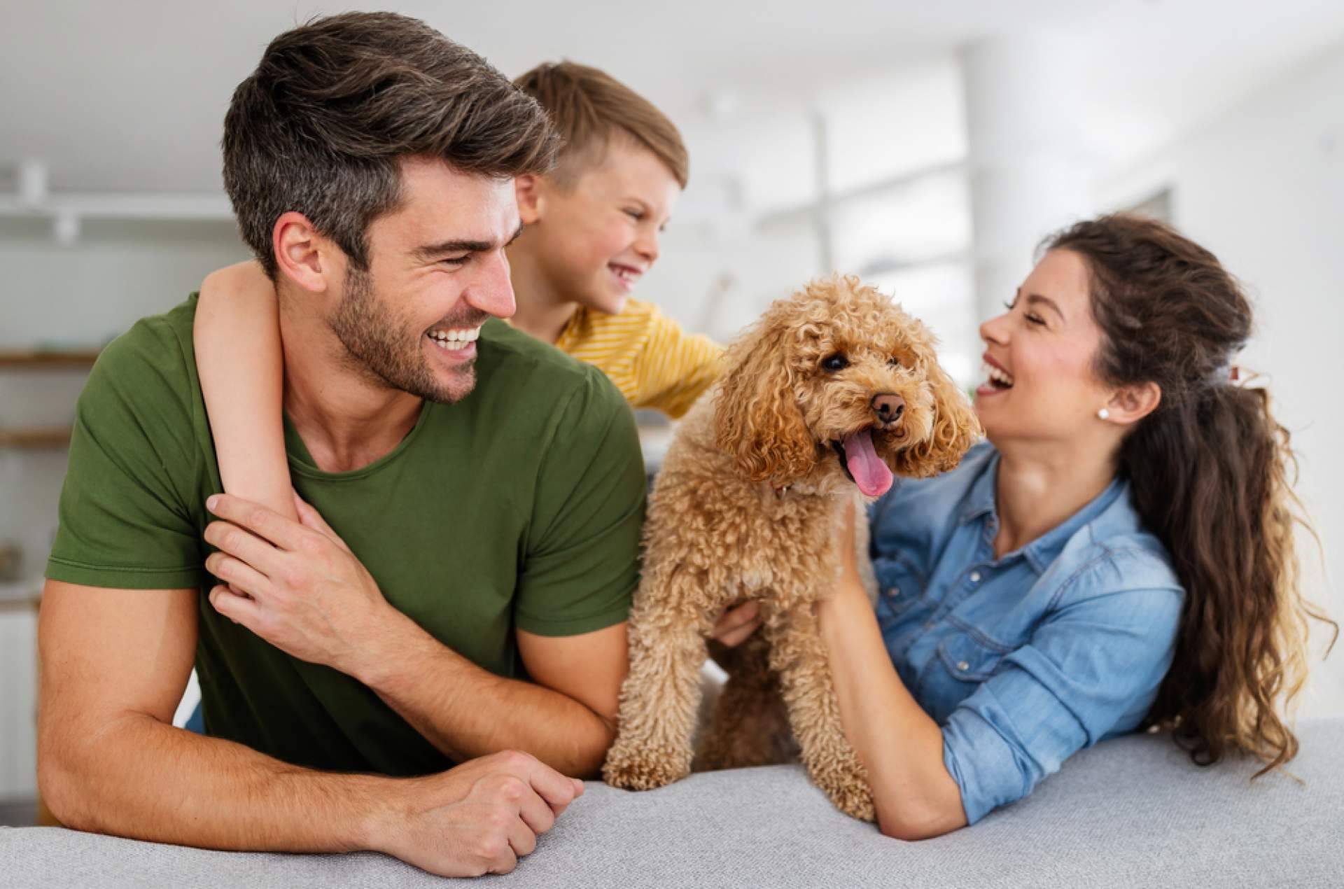 ¿Dónde encontrar un buscador de tiendas de mascotas para adoptar animales? La Central del Cachorro
