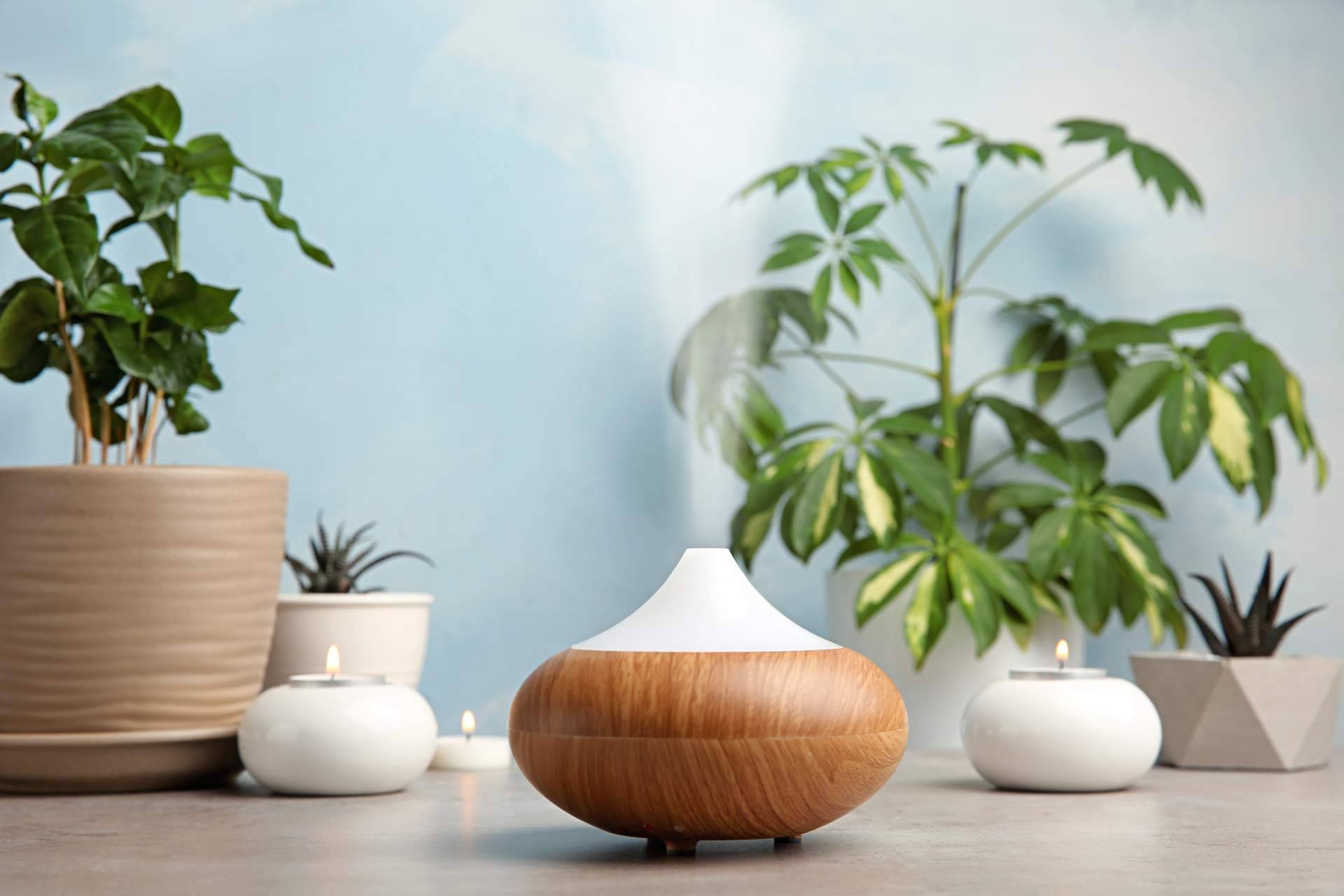 Las ventajas de utilizar humidificadores en casa, por Hogar Climatizado