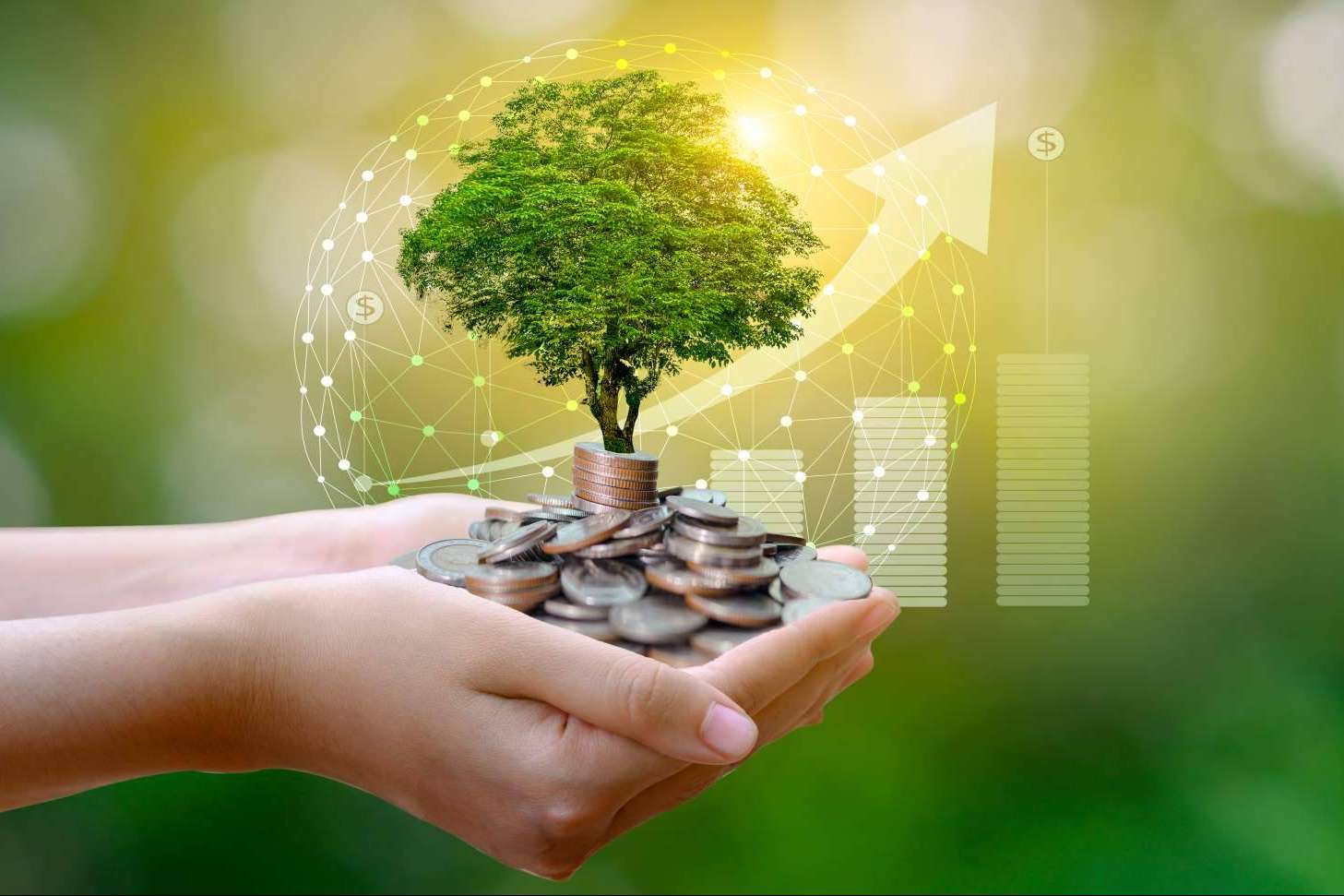 Earthster, un soporte para las empresas que persiguen la Green Transition y la economía sostenible